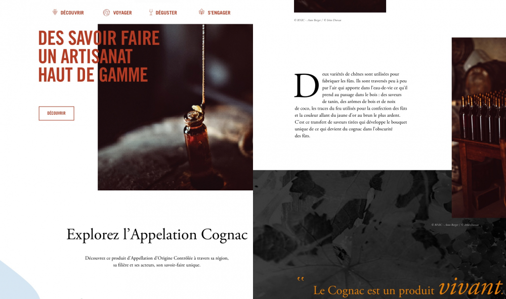 CONTENU EDITORIAL - BUREAU NATIONAL INTERPROFESSIONNEL DU COGNAC