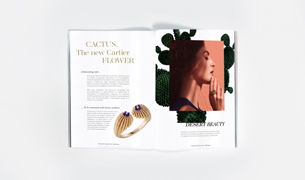 CACTUS DE CARTIER